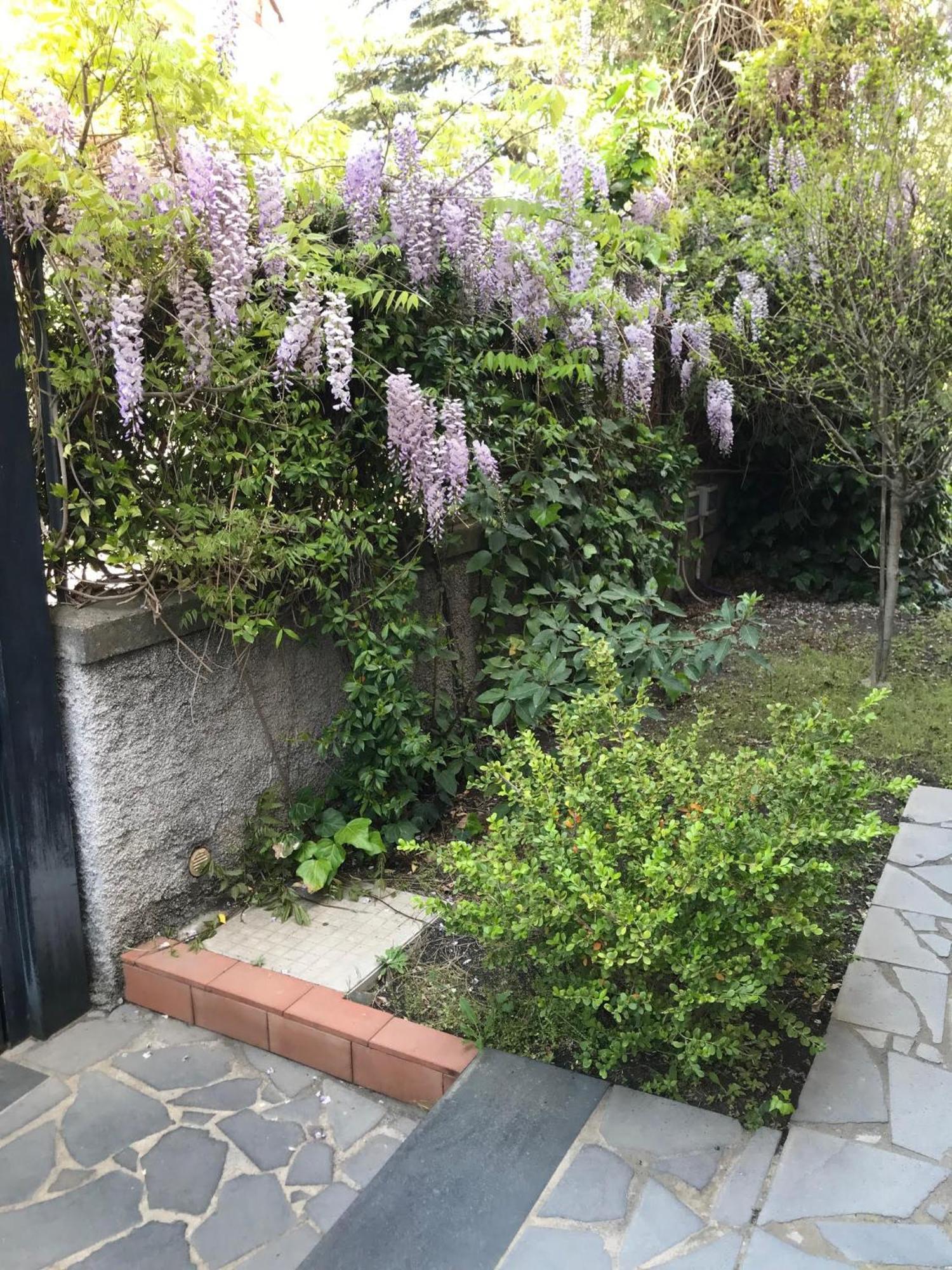 B&B La Rena Rossa Nicolosi Buitenkant foto